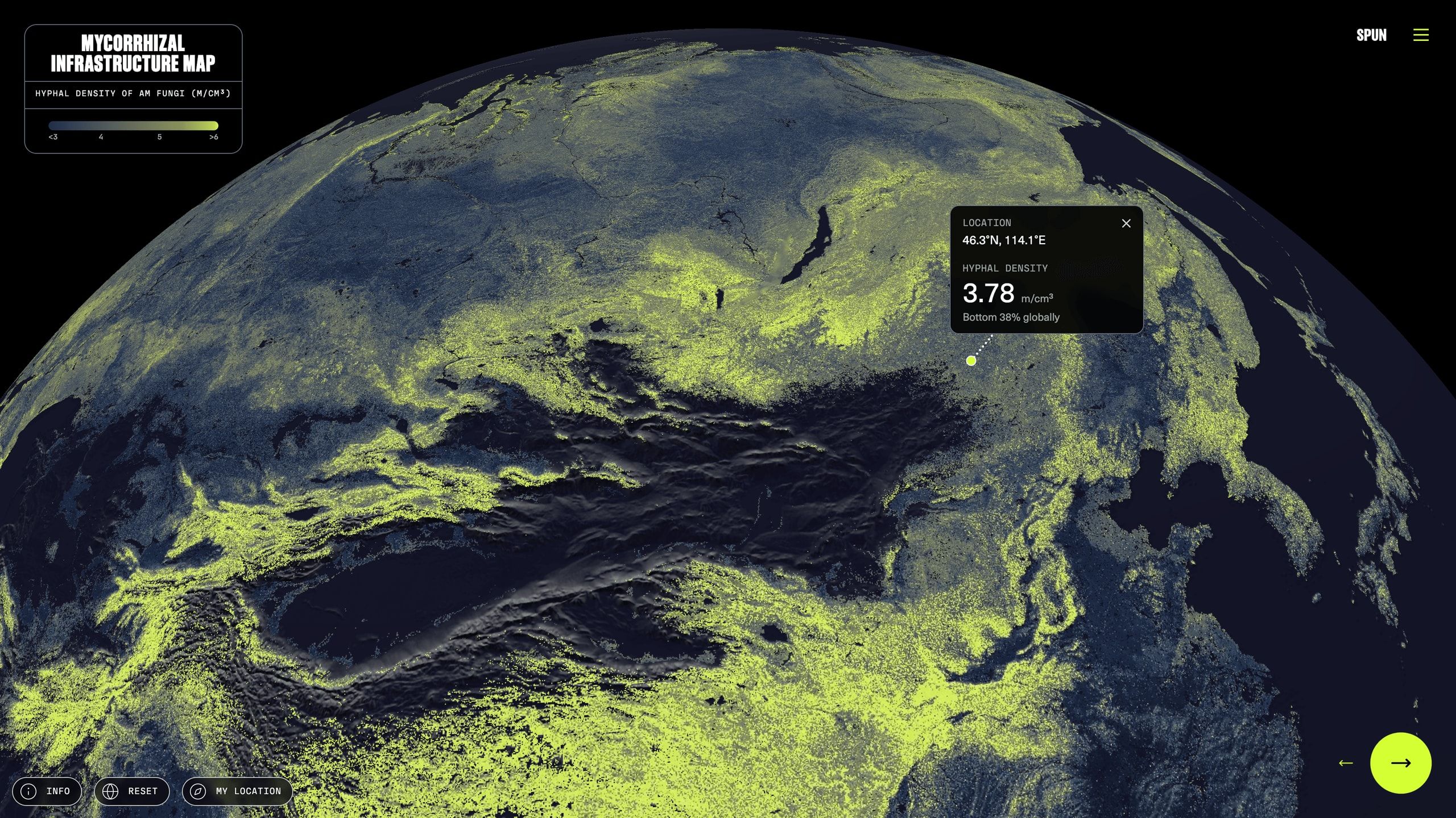 3D globe of predicted mycorrhizal fungal hyphal density glowing green across Earth, with a 3.78 m/cm³ location readout